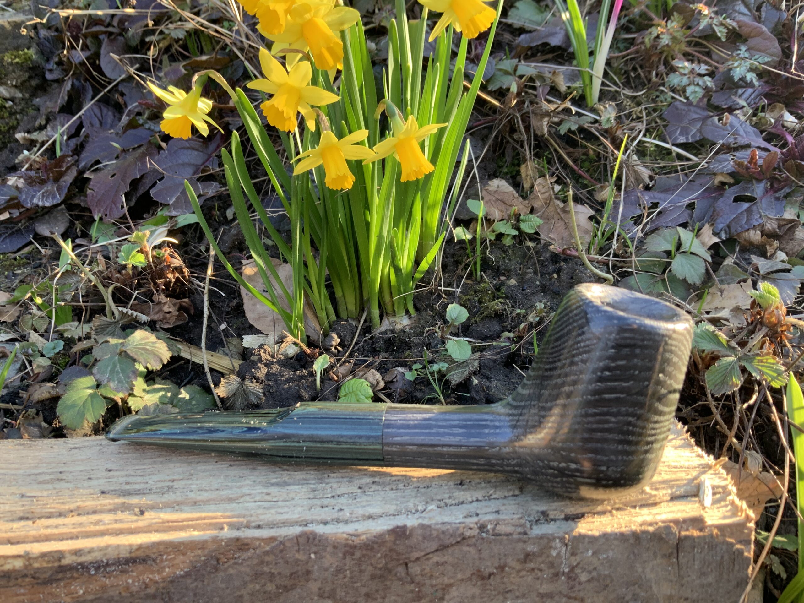 Cumberland green Morta